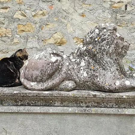 La Torre In Chianti Appartement