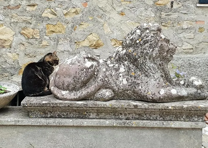 La Torre In Chianti 아파트